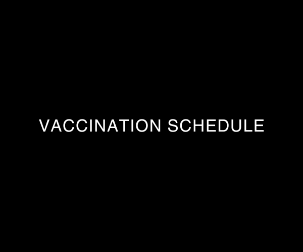 Vaccination Schedule